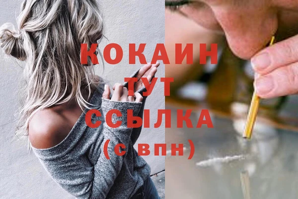 дживик Белокуриха