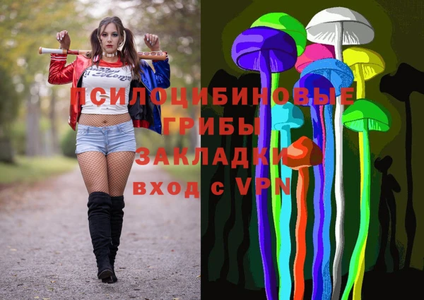 спиды Богданович