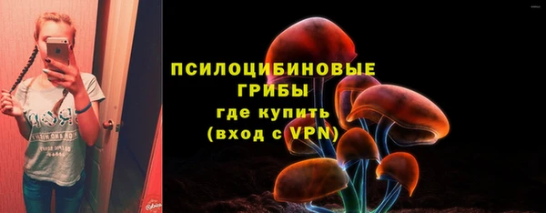 дживик Белокуриха