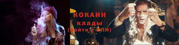 дживик Белокуриха