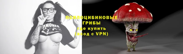 a pvp Белоозёрский