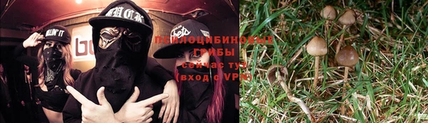 a pvp Белоозёрский